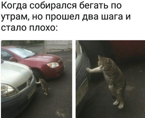 =Fox= - 6  2018  18:35