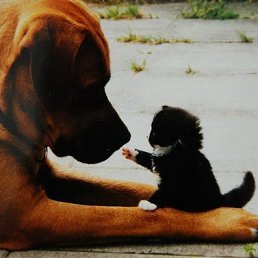 ���, ������, 31 ���