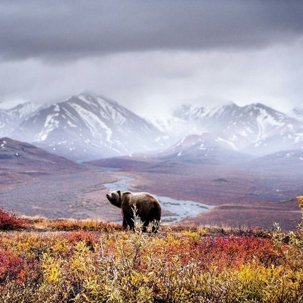 Alaska, USA.
