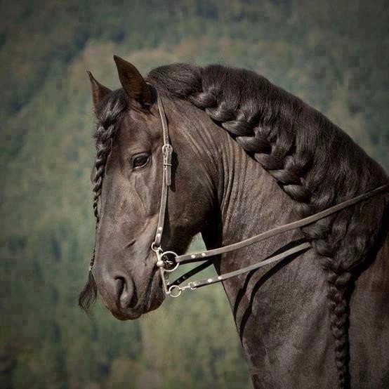  -   ! - 7  2018  02:51