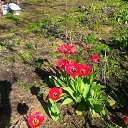 ���� Valery, �������, 79 ��� - ��������� 16 ��� 2018 � ������ ���� 2018�