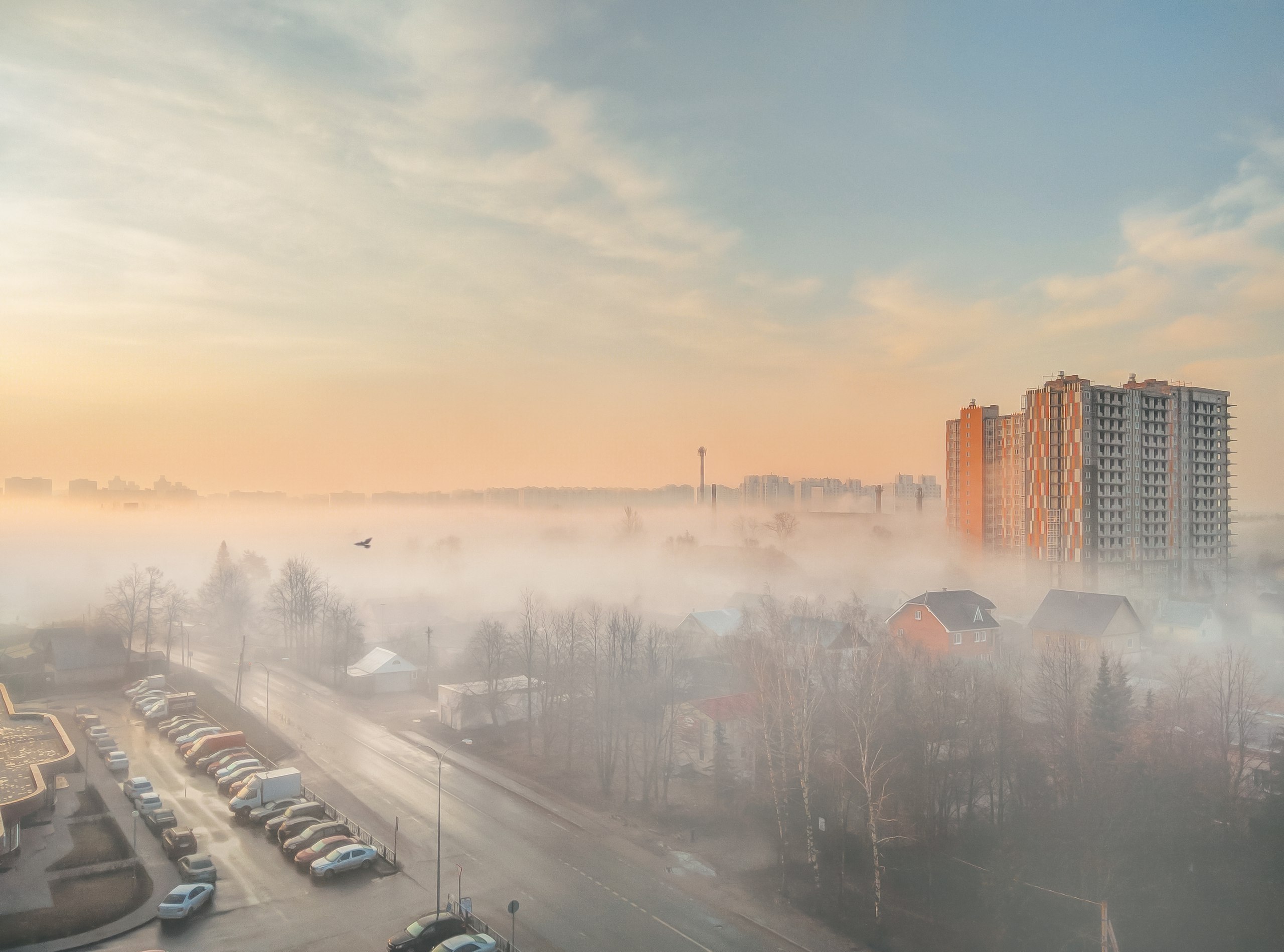 Туман в Подмосковье