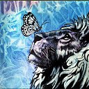  _Ash_lion_,  -  21  2018    