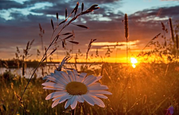 �� ������ � ���� �� ��������. ��� ������� ����� ��������� � ��������� ����� ��������.