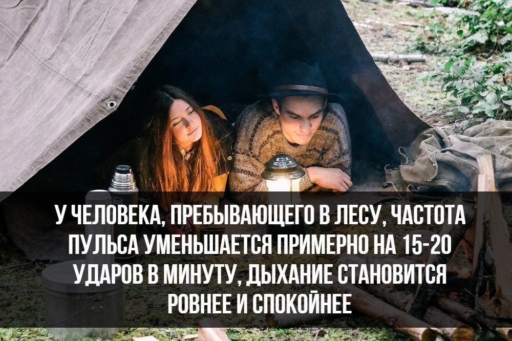   :    - 8  2018  02:32