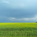 ���� Vladimir Petrov, ������, 63 ���� - ��������� 6 ���� 2018 � ������ ���� ����������