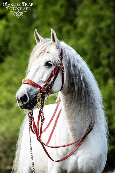  -   ! - 3  2018  02:33