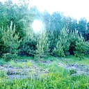 ���� �������, ������ - ��������� 28 ������� 2018 � ������ ���� ����