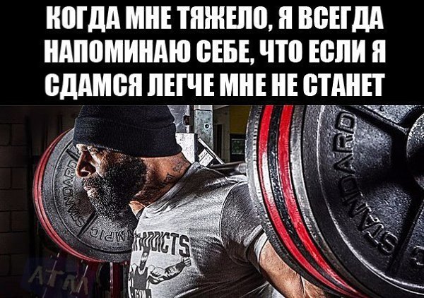 SportFeed - 4  2018  04:33