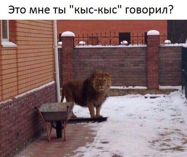       - 18  2018  03:52