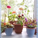 ���� �����, �����, 62 ���� - ��������� 8 ����� 2018 � ������ ������ ��������