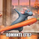 ���� ������, ��������, 37 ��� - ��������� 22 ������� 2017 � ������ ������ ��������