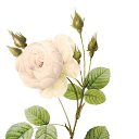 ���� ������, ����� - ��������� 1 ������ 2018