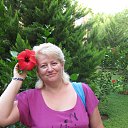 ���� �������, �������-����������, 53 ���� - ��������� 1 ����� 2018 � ������ ���� ����������