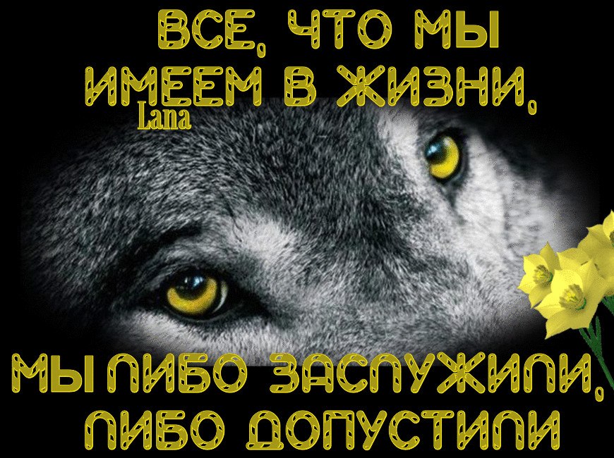 Что имеем не храним ,потеряем плачем | Ласточка,стихи для людей | Дзен