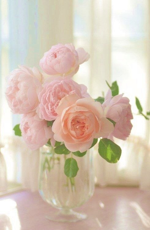  ! - 6  2018  00:42 - 4