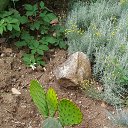  , , 60  -  28  2018   , ,,28.05.18. 08.30. 