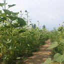 ���� �����, �������, 47 ��� - ��������� 9 ���� 2018 � ������ ��� ����� �� �������