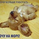 ��, ������, ������... ������� �� ������, ������ �� ����, 
������ �� �����, ������� �� �����, � ��� �� ���� ������! �� ������� ���� ����������