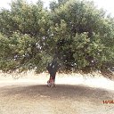 ���� Ilya, ������ �������� - ��������� 10 ������ 2018 � ������ ���� ����������