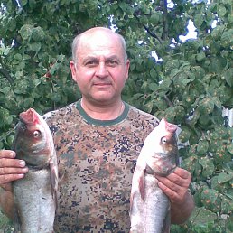 ����, �������-����������, 60 ���