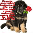���� �����, �����������-��-�����, 53 ���� - ��������� 1 ������ 2018 � ������ ���� ����������