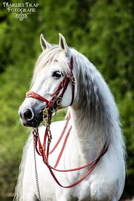  -   ! - 3  2018  02:33