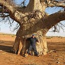 ���� �����, ������, 52 ���� - ��������� 10 ������� 2017 � ������ ���� ����������