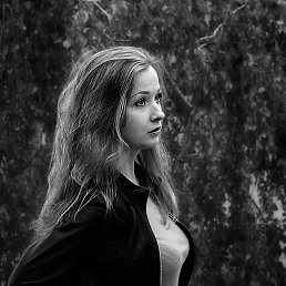 ����� �����������, 37 ���, ���������