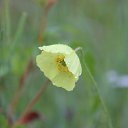 ���� �������, �����������, 69 ��� - ��������� 23 ������� 2018