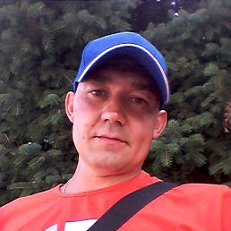 ���������, ���������, 41 ���