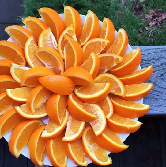 #oranges