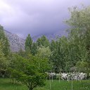 ���� �������, ������, 62 ���� - ��������� 16 ������ 2018