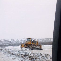 ���� �������, ��������, 41 ��� - ��������� 14 ������� 2018