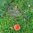  , , 60  -  28  2018   , ,,28.05.18. 08.30. 