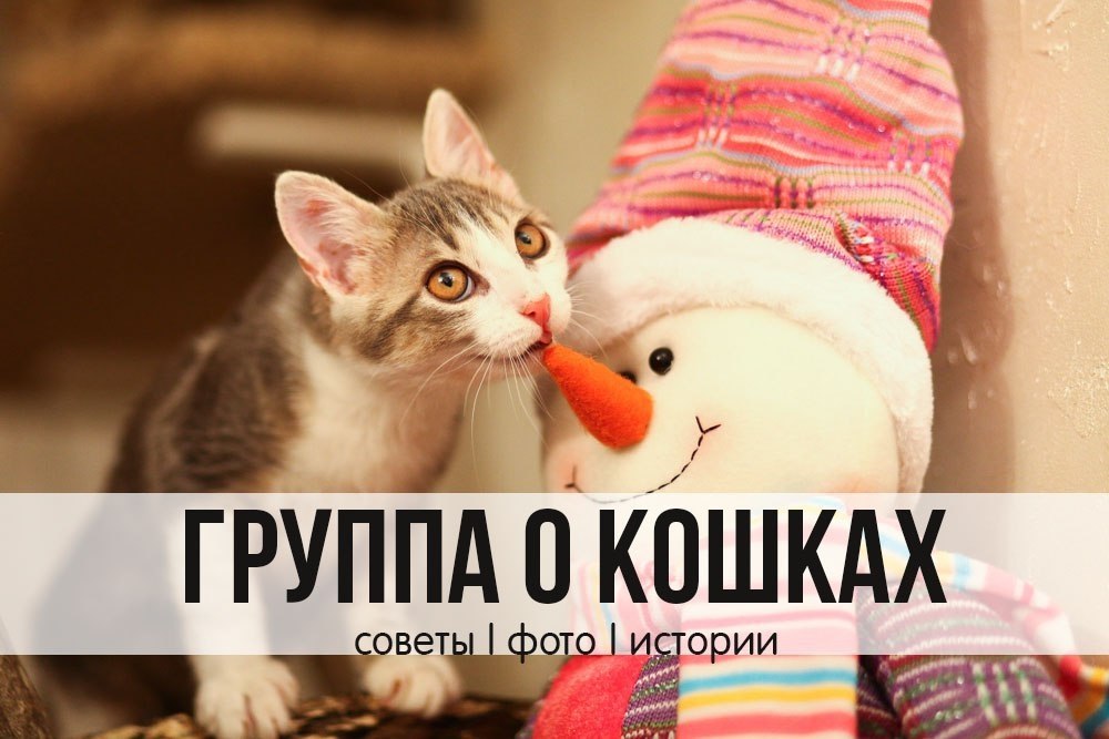    ,     ! https://fotostrana.ru/away?to=/sl/T5y https://fotostrana.ru/away?to=/sl/T5y ...