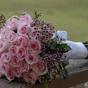 ���� �����, �����-���������, 61 ��� - ��������� 26 ������ 2018 � ������ ������ ��������