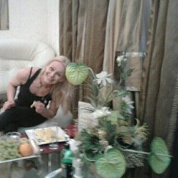 �����, ���������, 54 ����