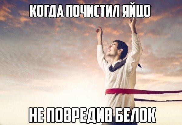 SportFeed - 19  2018  02:41