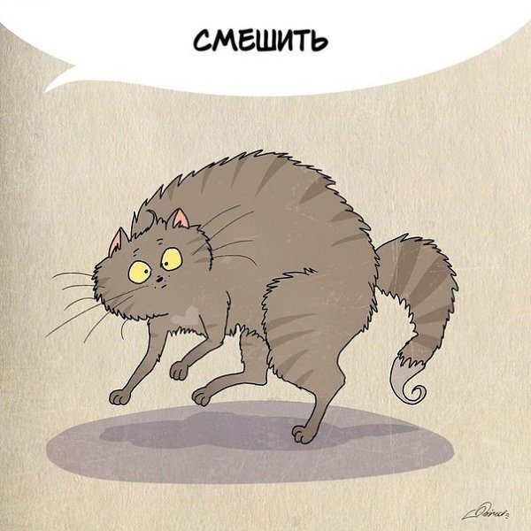 1 марта отмечается День кошек. Нам есть чему поучиться у шерстяных засранцев :3 - 2