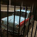 ���� ������, ��������, 51 ��� - ��������� 5 ���� 2018 � ������ ��������� ������ �������� �� ������