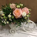 ���� �������, ������, 49 ��� - ��������� 26 ����� 2018 � ������ �����������