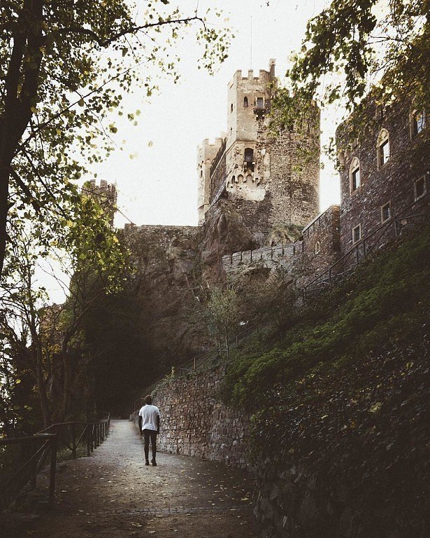 ����� ���������, ������� ��������������� � ��������. - 7