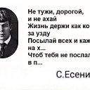  , , 39  -  6  2017    
