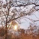 ���� �����, ���� - ��������� 31 ������ 2018 � ������ ���� ����������