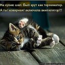 ���� ���������, ������, 61 ��� - ��������� 27 ������� 2017 � ������ ����������� ����