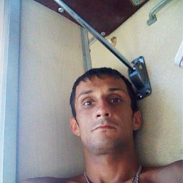 ����������, �����-���������, 43 ����