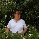 ���� �����, �����������, 62 ���� - ��������� 1 ��� 2018 � ������ ���� ����������