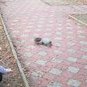 ���� Valera, ������� - ��������� 20 ������ 2017 � ������ ��������