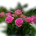 ���� ������, ����� - ��������� 1 ������ 2018